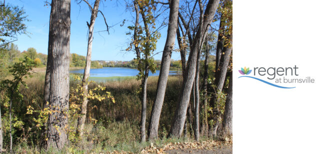 A scenic view of Earley Lake, framed by tall trees and surrounded by lush greenery, as seen from the walking trail near Regent at Burnsville.