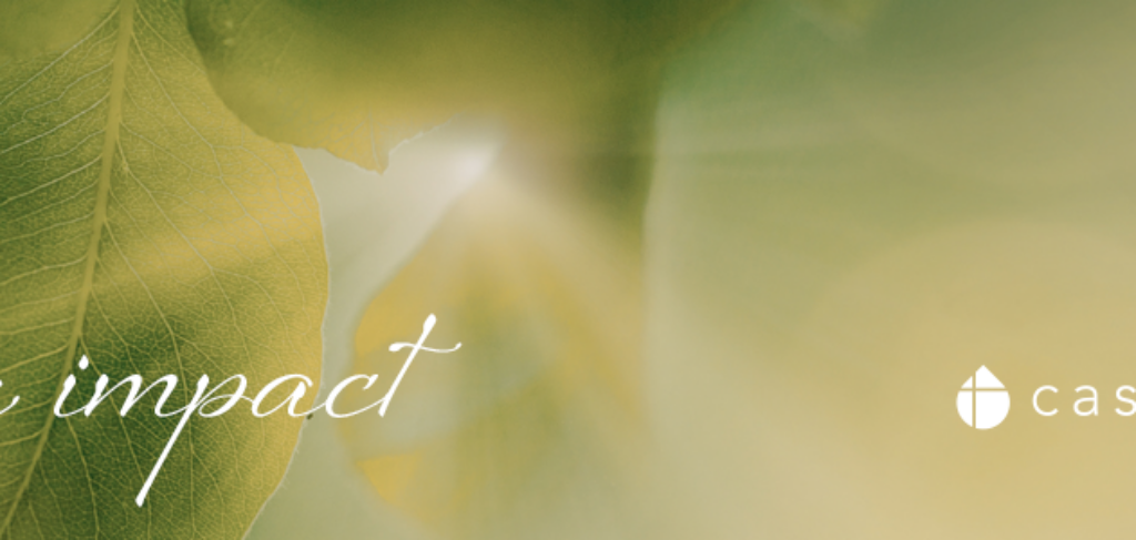 Cassia Foundation - Planned Giving